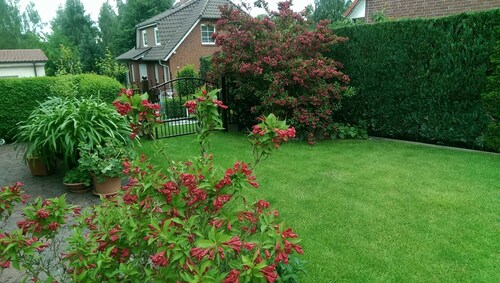 Basement vacation apartment - Holiday apartment - 62944