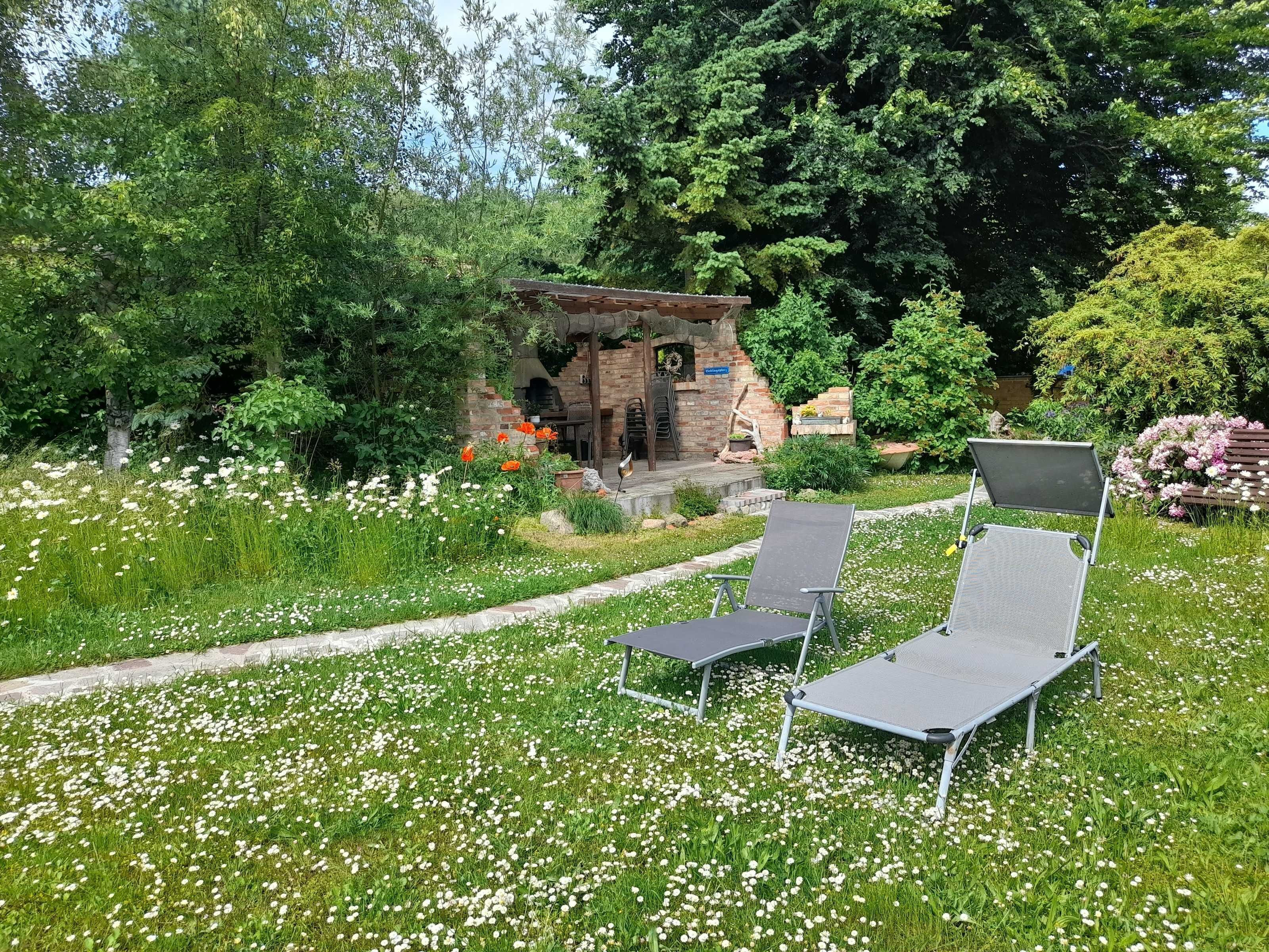 Terrain de l’hébergement 