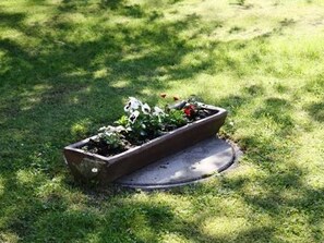 Imagen sin descripción, 5 de 14, botón