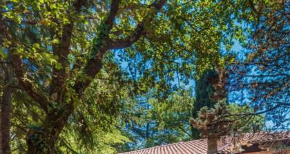 Bungalow with outdoor pool