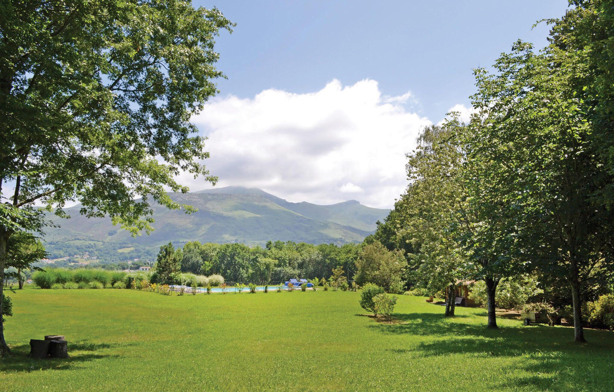 Ein grünes Feld mit Bäumen und einem Berg im Hintergrund.