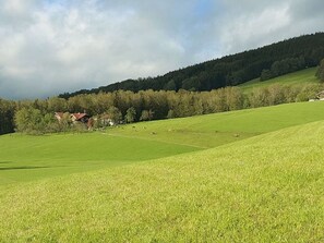 Immagine non classificata, 5 di 18, pulsante