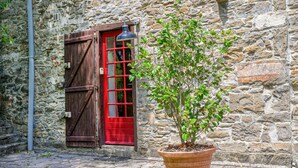 A stone building with a red door and a potted plant in front.