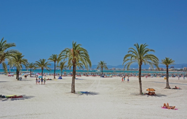 Playa en los alrededores