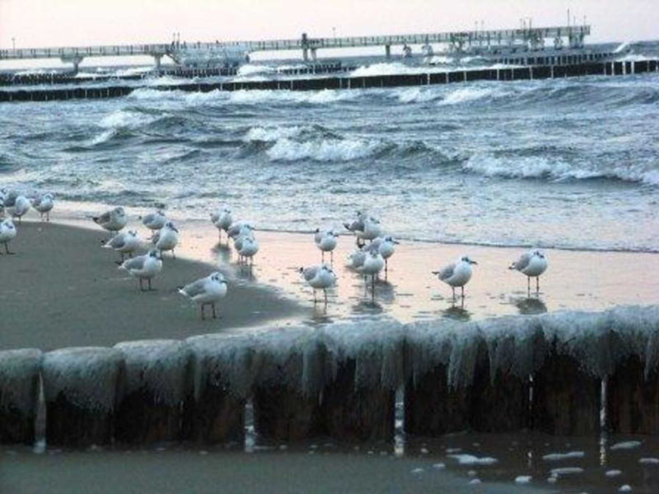 Ubicación cercana a la playa