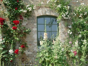 A stone building with a green window and a wall covered in climbing roses. - Apartment I - Apartments in a farmhouse - Property 44365 (Papendorf)