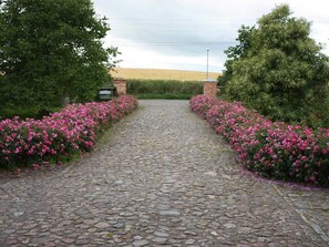 Un sentier pavé de pierres, bordé de fleurs roses éclatantes, mène à un bâtiment dont l’entrée est en briques.