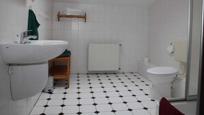 Une salle de bain avec un lavabo blanc, des toilettes, une douche et une lucarne.