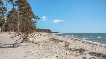 Beach nearby, fishing
