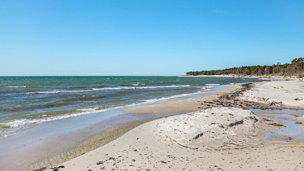A beach with clear blue water, sandy shore, and a forested area in the background. - Amazing home in Nexø with sauna (Nexø)