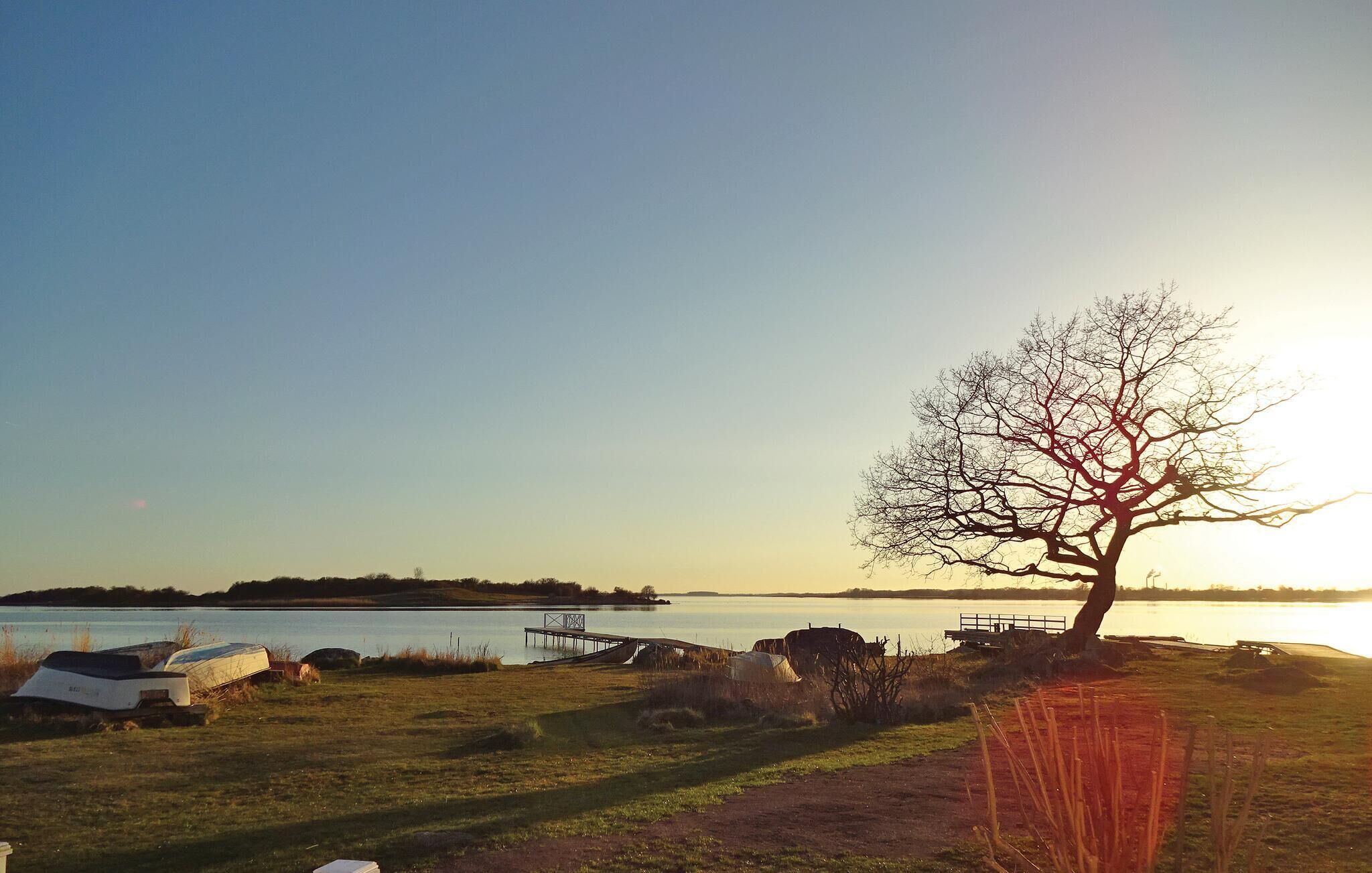 Et roligt sølandskab med klar himmel, en anløbsbro og et enkelt træ.