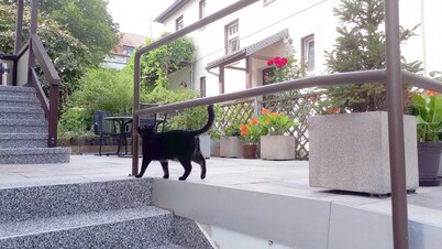 Apartment in the poet district