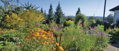 المنطقة المحيطة بالمنشأة