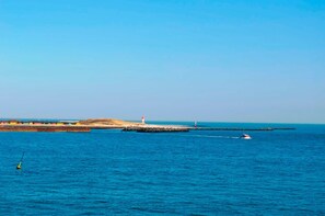 Unclassified image, 3 of 45, button