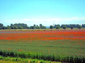 Nicht klassifiziertes Bild, 3 von 17, Schaltfläche