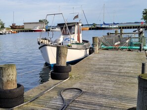 Immagine non classificata, 3 di 17, pulsante