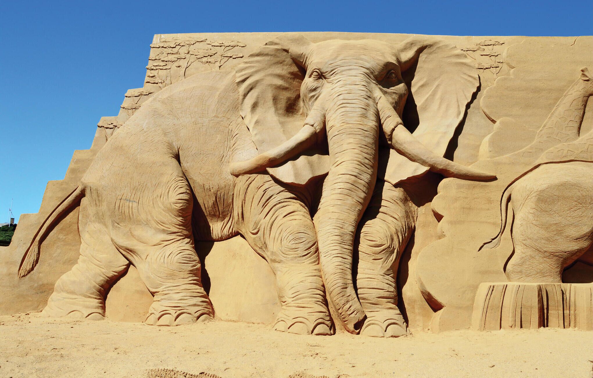 Imponente scultura di sabbia raffigurante un elefante con zanne, su uno sfondo di parete sabbiosa.