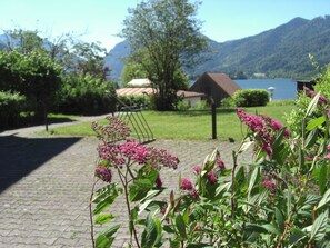 Imagen sin descripción, 5 de 15, botón