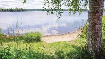 A lakeside view with a sandy beach, surrounded by greenery and a birch tree.