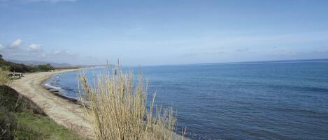 Beach nearby, fishing
