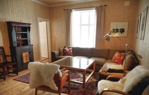 TV, fireplace, DVD player