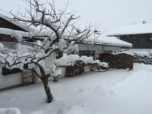 A snow-covered residential area with a house, a tree, and a wooden fence.