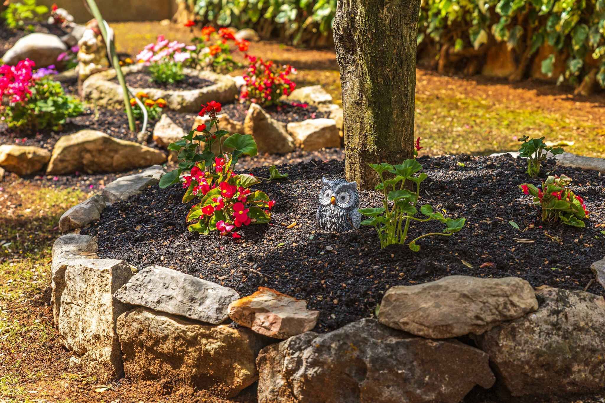 Terrein van de accommodatie