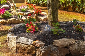 Terrain de l’hébergement 