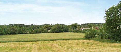 A rural landscape with open fields, scattered trees, and a few buildings in the distance.