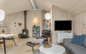 TV, fireplace, DVD player