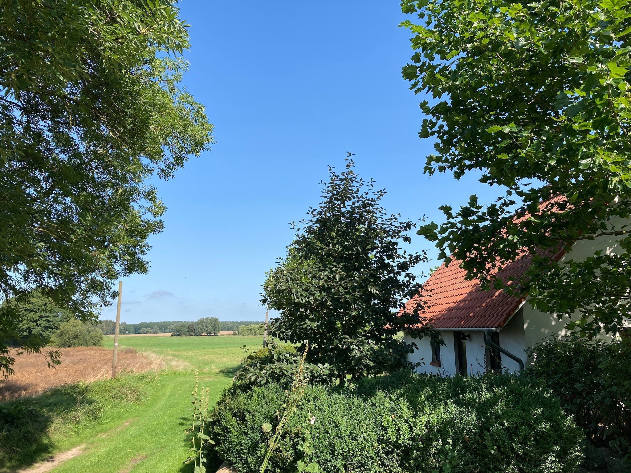 A rural house with a red roof, surrounded by lush greenery and a clear blue sky.