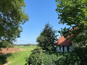 Unclassified image, 3 of 14, button