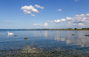 On the beach, waterskiing, fishing