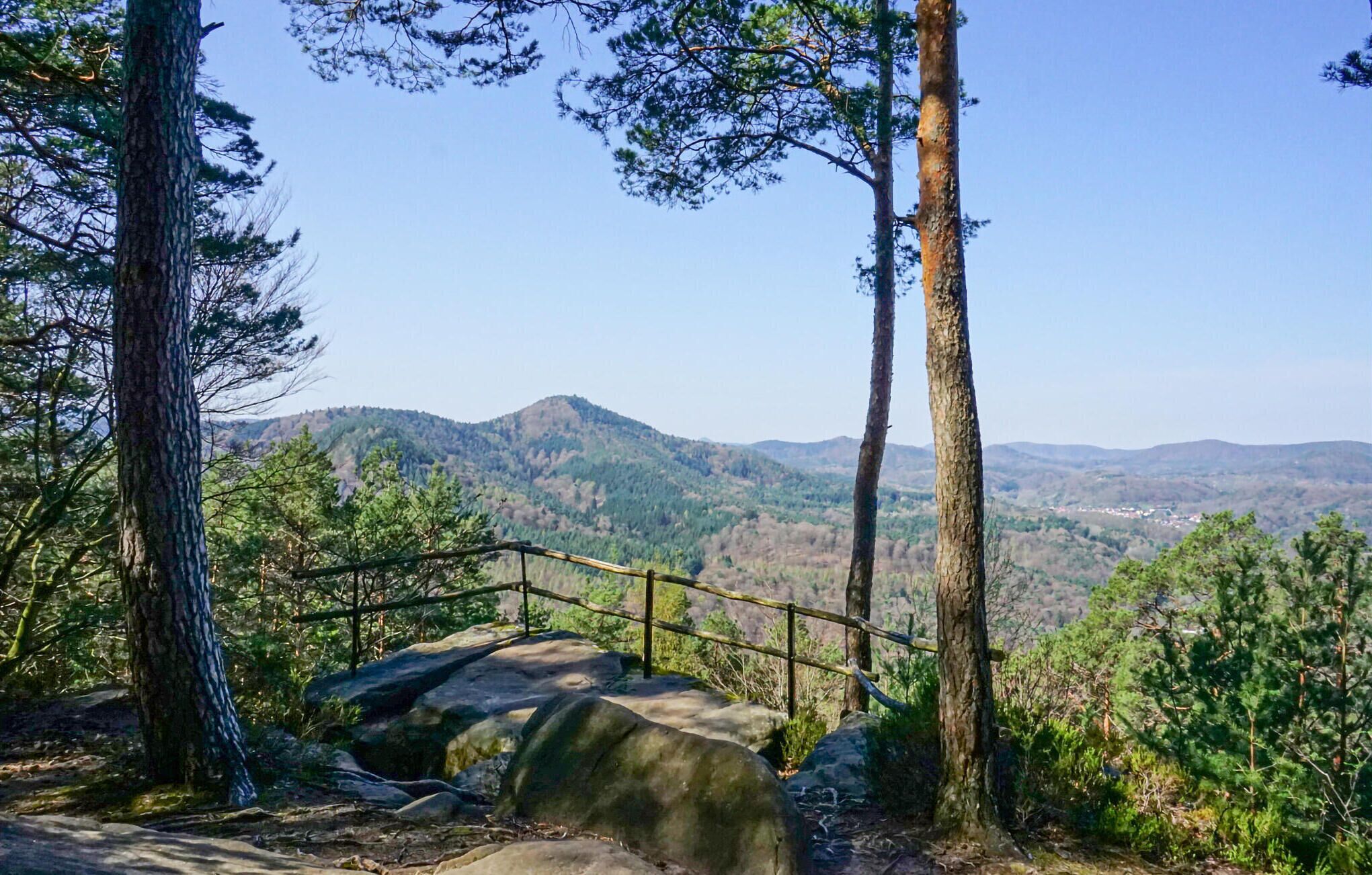 A natural landscape with a stone staircase leading up, surrounded by trees and a view of distant mountains.