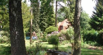 Single room 10 - Pension Haus Elisabeth