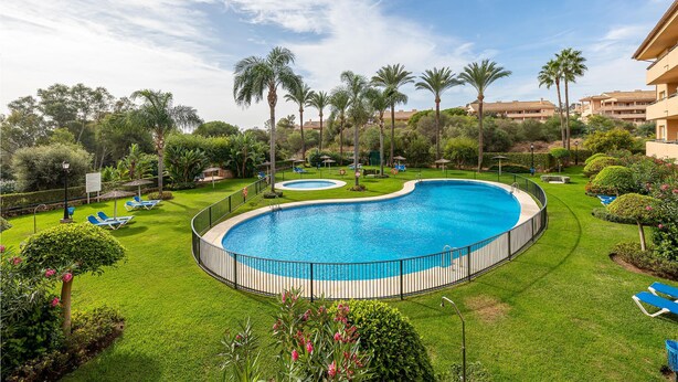 Una piscina rodeada por un césped cuidado, palmeras y sillas de descanso.