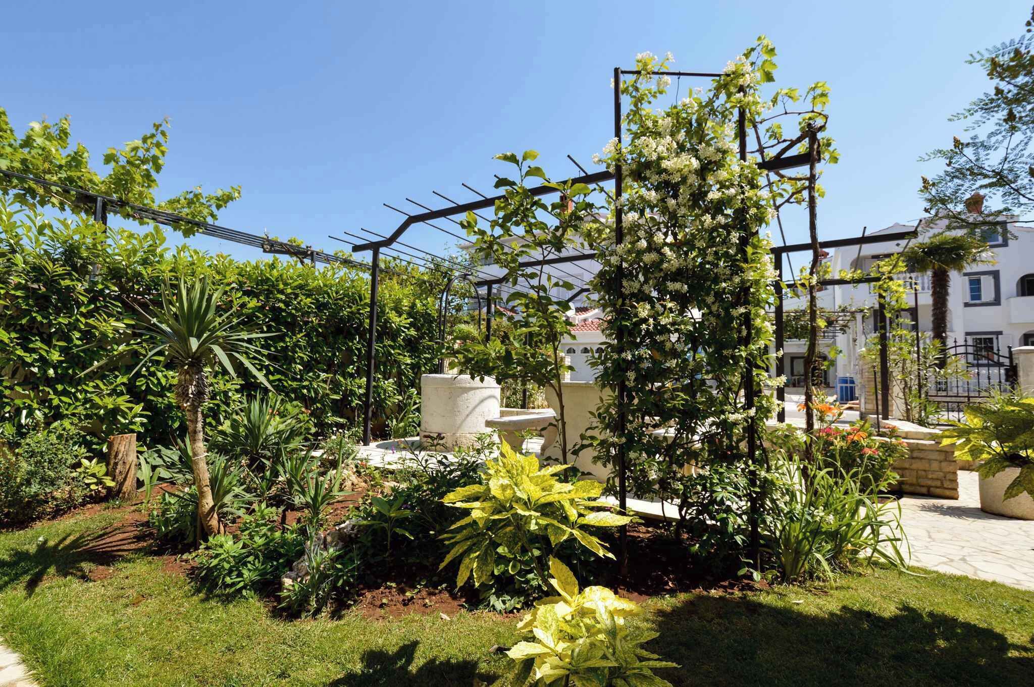 Een tuin met een pergola, diverse planten en een wit gebouw op de achtergrond.