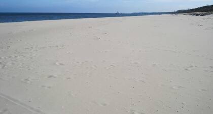 Zinnowitz Skanepark Ferienwohnung 08 im EG - WE 08