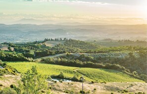 Miscellaneous - Maddalena - Podere Moricci (Montaione FI)