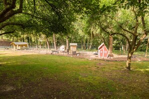 Terrein van de accommodatie