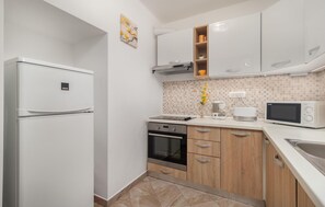 Fridge, microwave, stovetop, dishwasher
