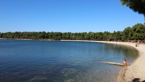 A beach with clear water, a sandy shore, and a row of trees in the background. - Holiday apartment with terrace (Novigrad)