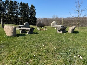 Unclassified image, 3 of 25, button