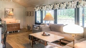 Télévision, cheminée, lecteur de DVD