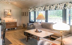 Televisión, chimenea y reproductor de DVD 