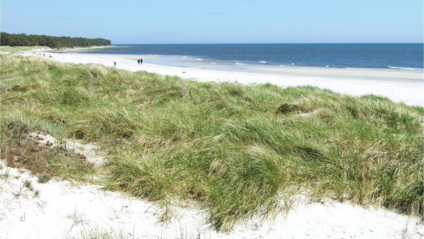 Una spiaggia con sabbia bianca, dune erbose e l'oceano.