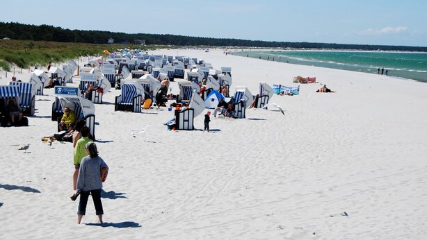 Une plage bordée de rangées de chaises de plage et de parasols, un rivage sablonneux et l’océan en arrière-plan.