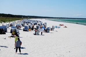 En strand med rader av strandstolar och parasoller, en sandstrand och havet i bakgrunden.