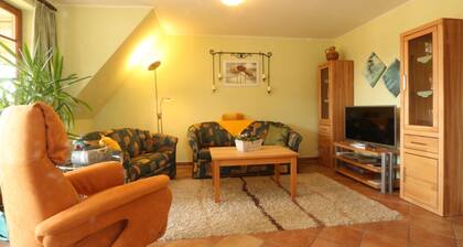 Apartment 2, 1st floor, 3 rooms, Loddin - 4-star apartments-Hansch