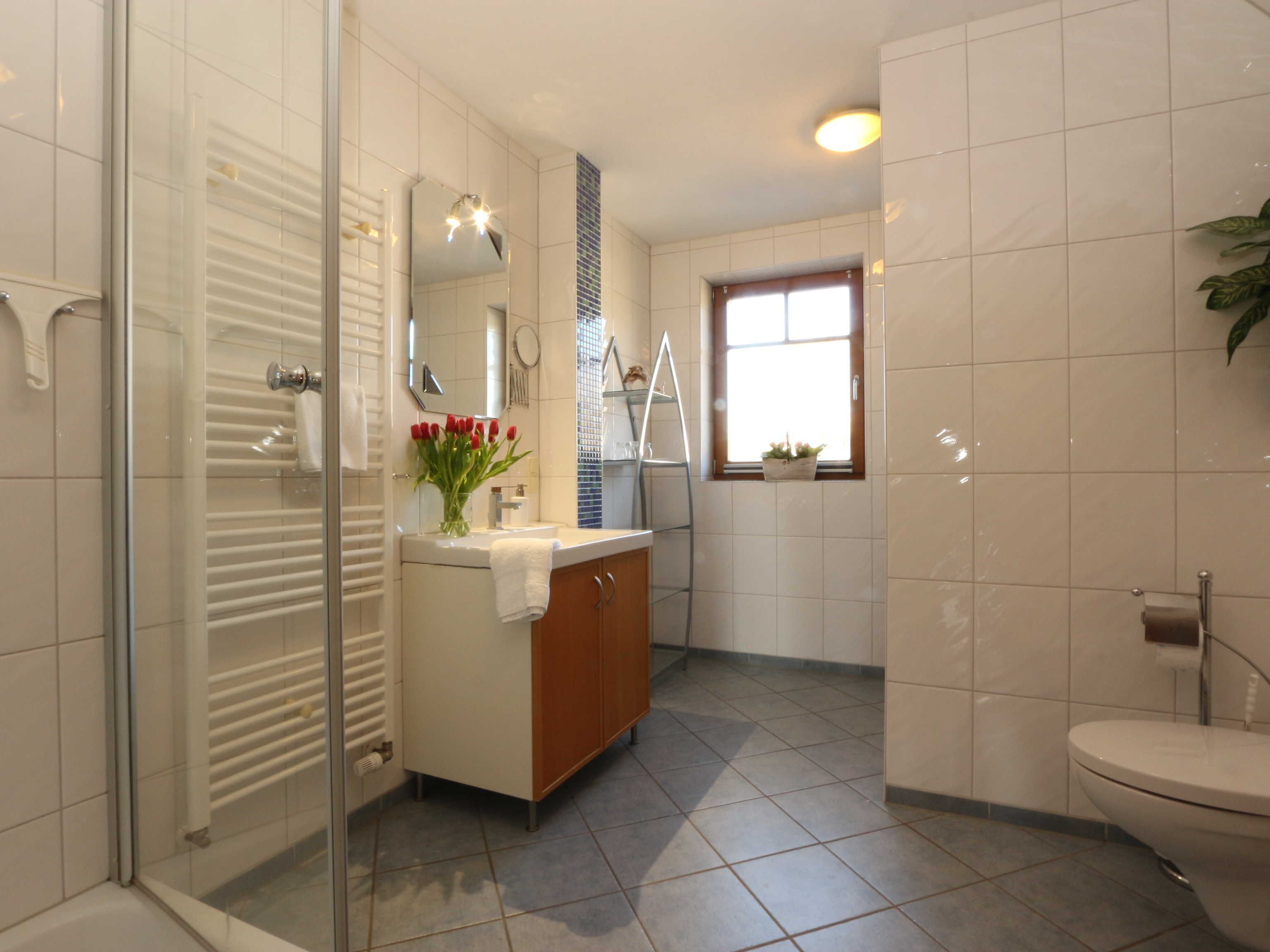 Dusche, Haartrockner